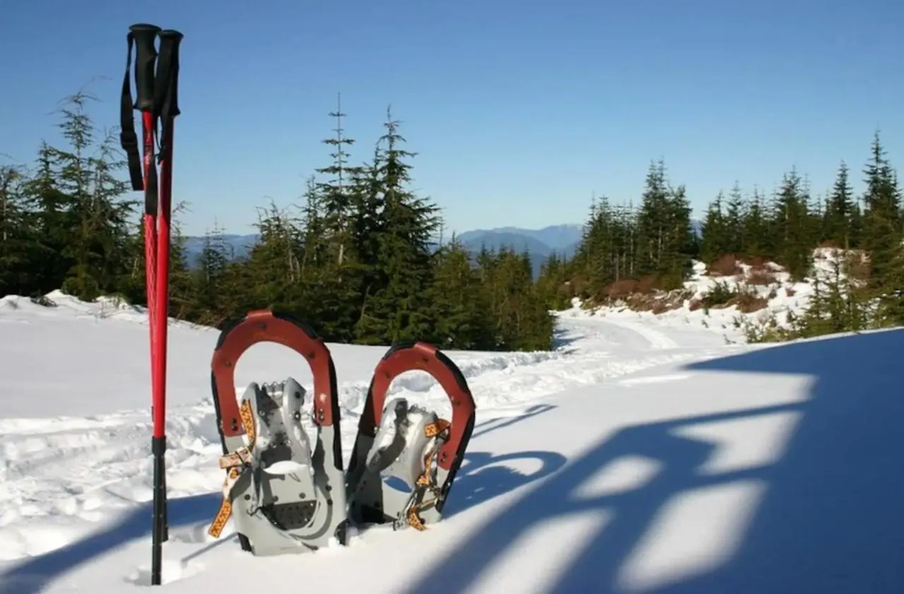 Lodge Alouette ラ・プラーニュ フランス